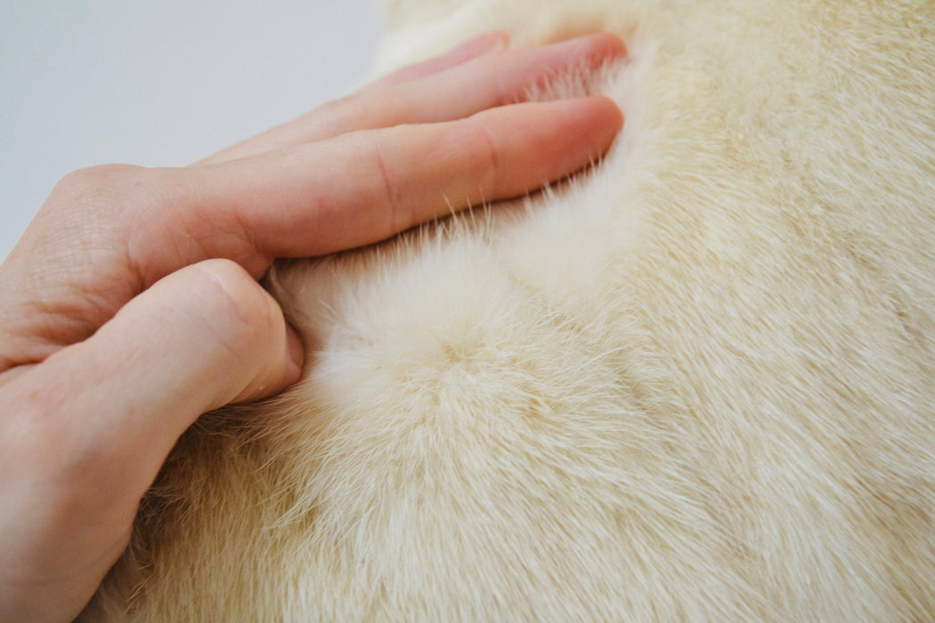 80s 90s Vintage Cream White Mink Fur Coat Jacket Medium Larry Weinstien // 80s Vintage Fur Coat Cream White Wedding Fur Coat Jacket